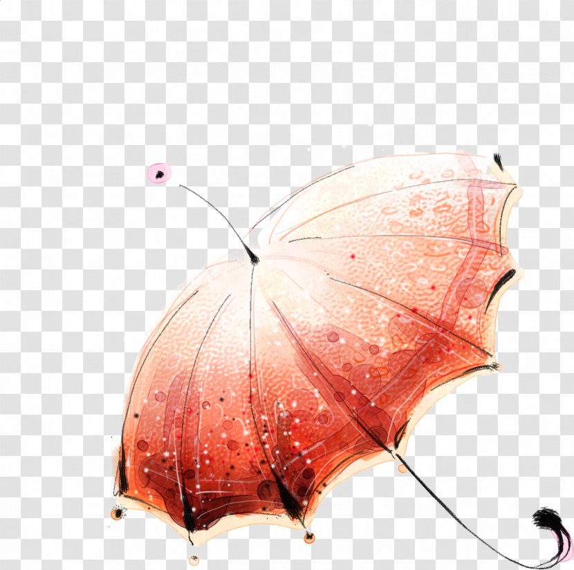Umbrella Drawing Clip Art - Invertebrate - Hand-painted Transparent PNG