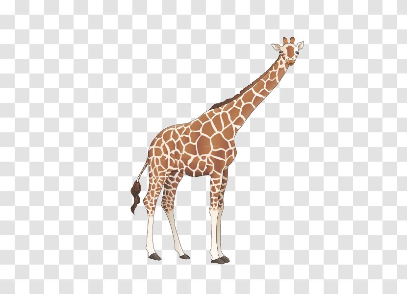 Giraffe Cartoon - Wildlife - Vector Material Transparent PNG