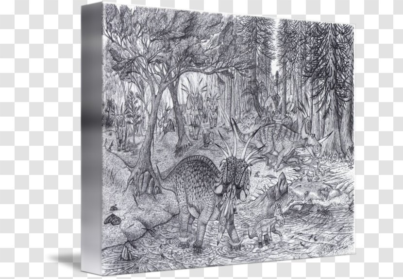 Drawing Styracosaurus Carnivora Gallery Wrap Picture Frames - Landscape Transparent PNG