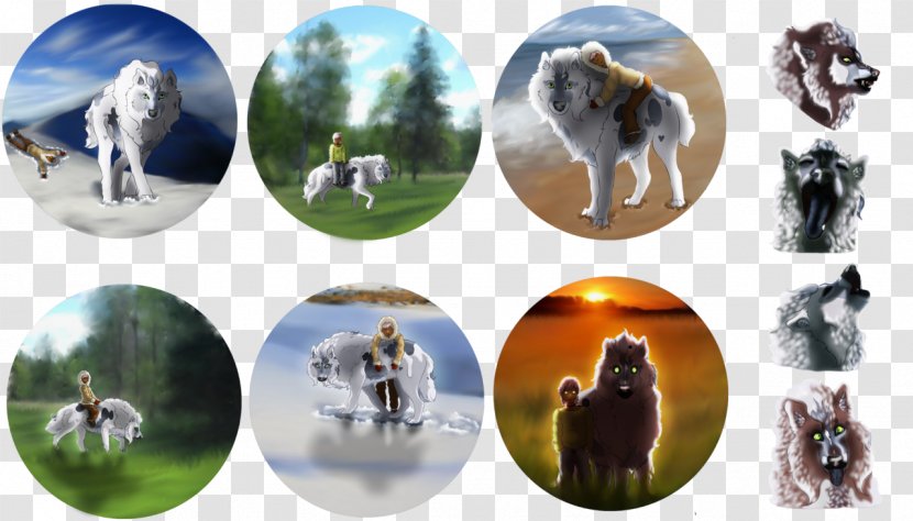 Horse Animal Collage Mammal - Fauna Transparent PNG