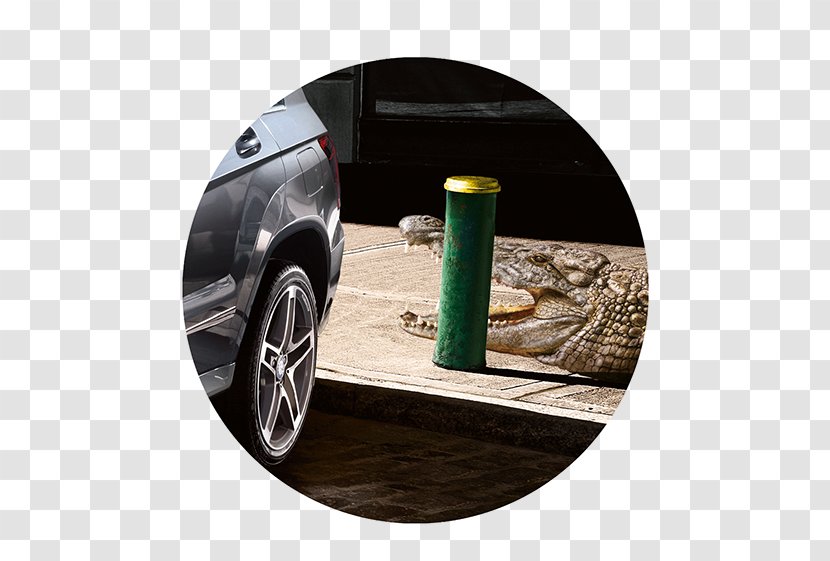 Tire Car Door Motor Vehicle Wheel - Family Transparent PNG