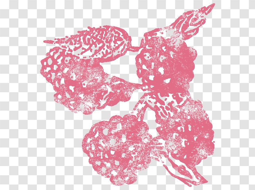 Raspberry Visual Arts Fruit Illustration Pattern - Az Stamp Transparent PNG