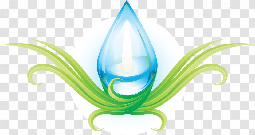 Green Fresh Water Drops - Nature Transparent PNG