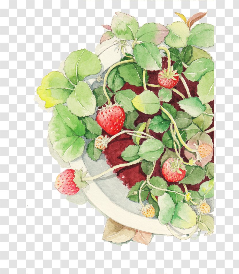 Strawberry Watercolor Painting Techniques Aedmaasikas - Strawberries - Pot Of Transparent PNG