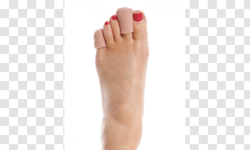 Pointe Technique Toe Ballet Dancer Nail - Frame - Tippy Toes Transparent PNG