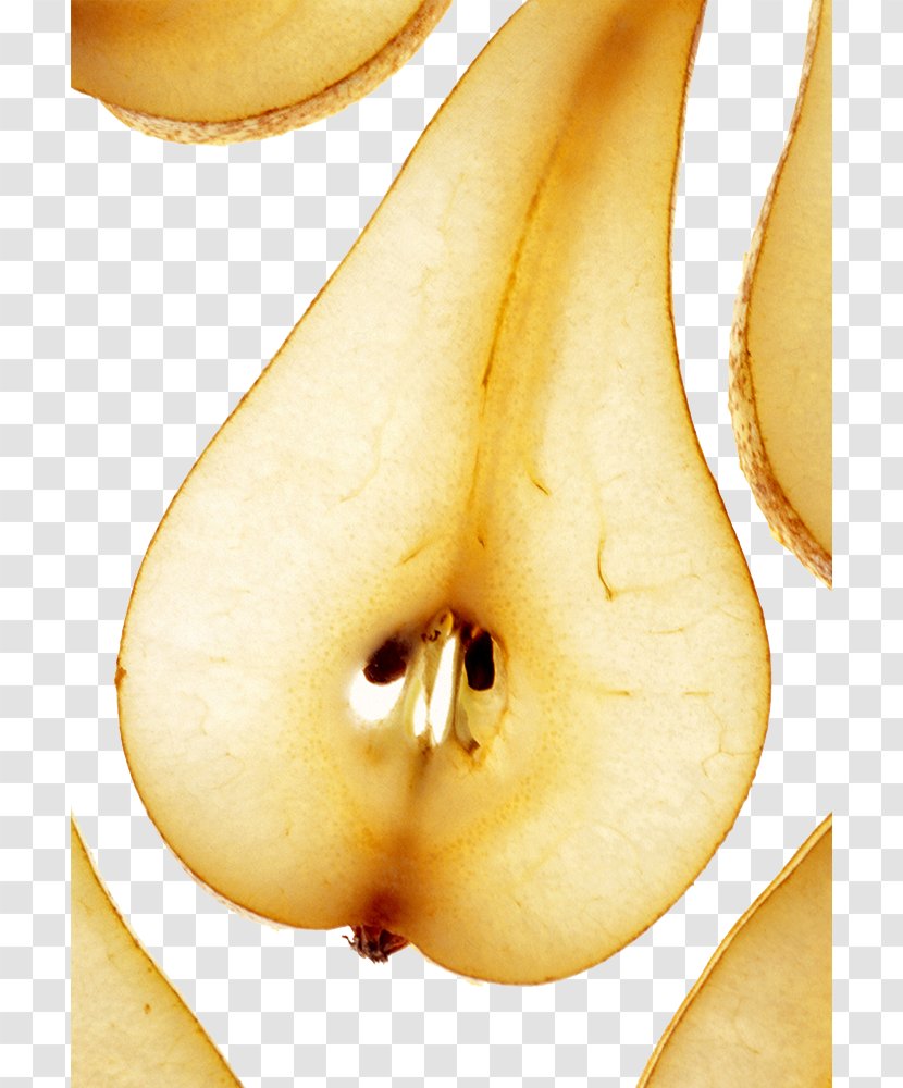 Pyrus Xd7 Bretschneideri Auglis U679cu8089 - Pear Fruit Cut In Half The Long Neck Material Transparent PNG