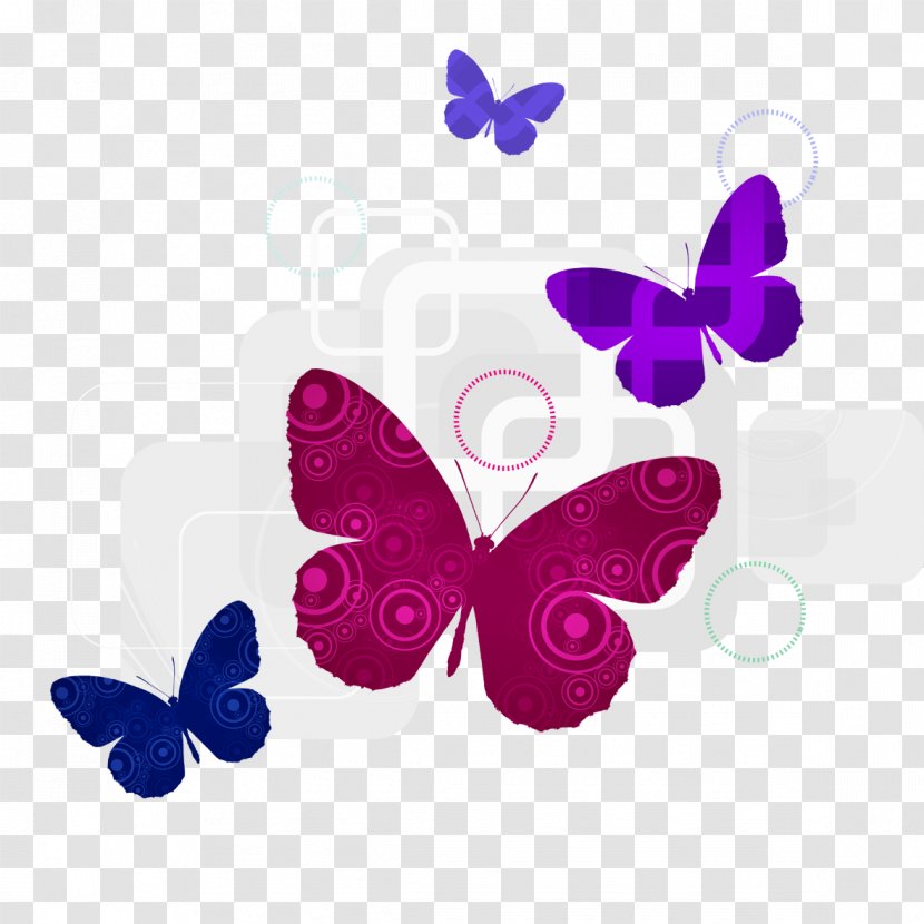 Butterfly Dancer Silhouette - Moths And Butterflies - Fun Transparent PNG