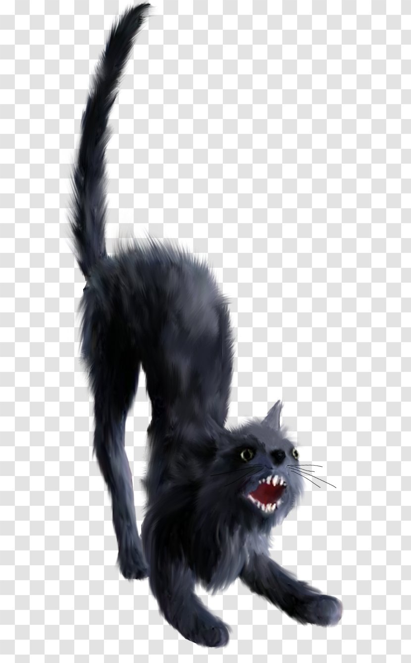 Black Cat Kitten Clip Art - Witch Transparent PNG