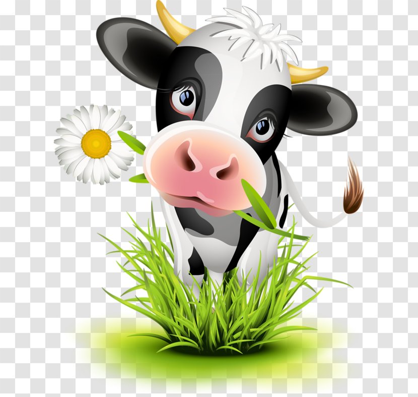 Holstein Friesian Cattle Brown Swiss Jersey - Snout - Birthday Transparent PNG