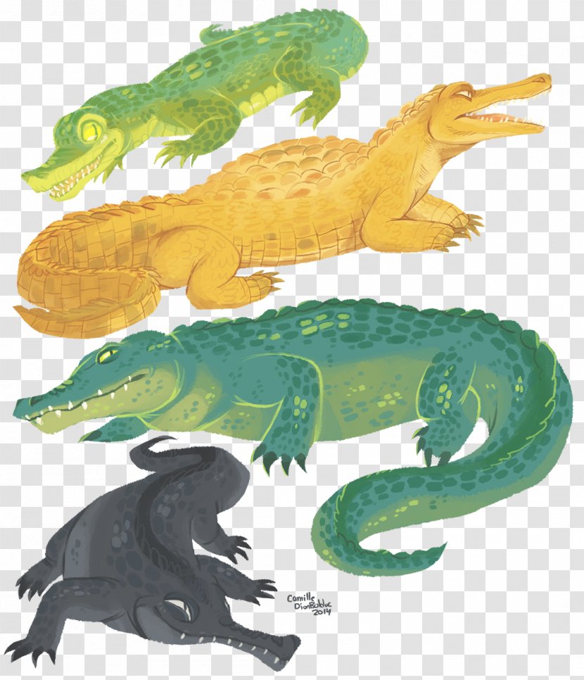 Crocodiles Alligator Gharial Caiman - Fauna - Crocodile Transparent PNG