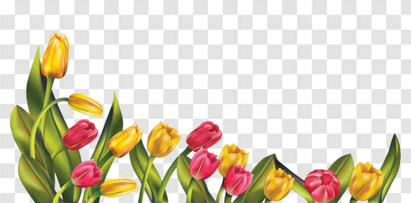 Clip Art Indira Gandhi Memorial Tulip Garden Image - Flowering Plant - Petal Transparent PNG