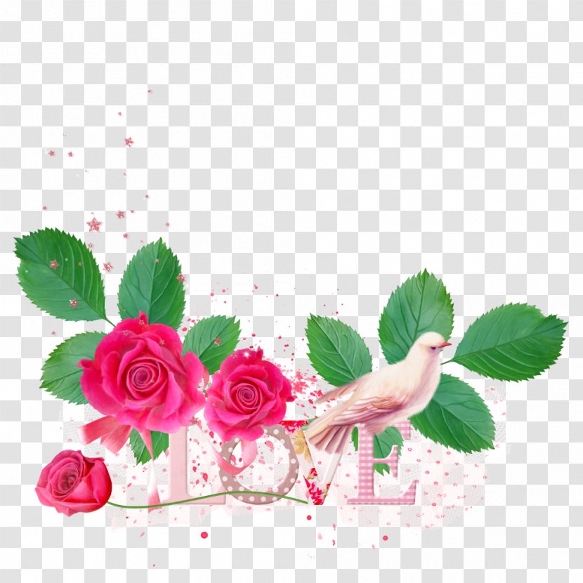 Garden Roses Floral Design Cut Flowers - Flower Transparent PNG