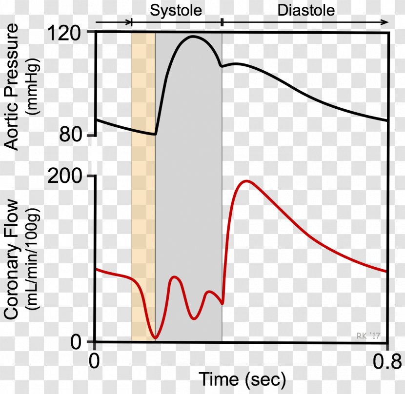 Coronary Circulation Paper Cardiovascular Physiology /m/02csf - Silhouette - Circular Flow Chart Transparent PNG