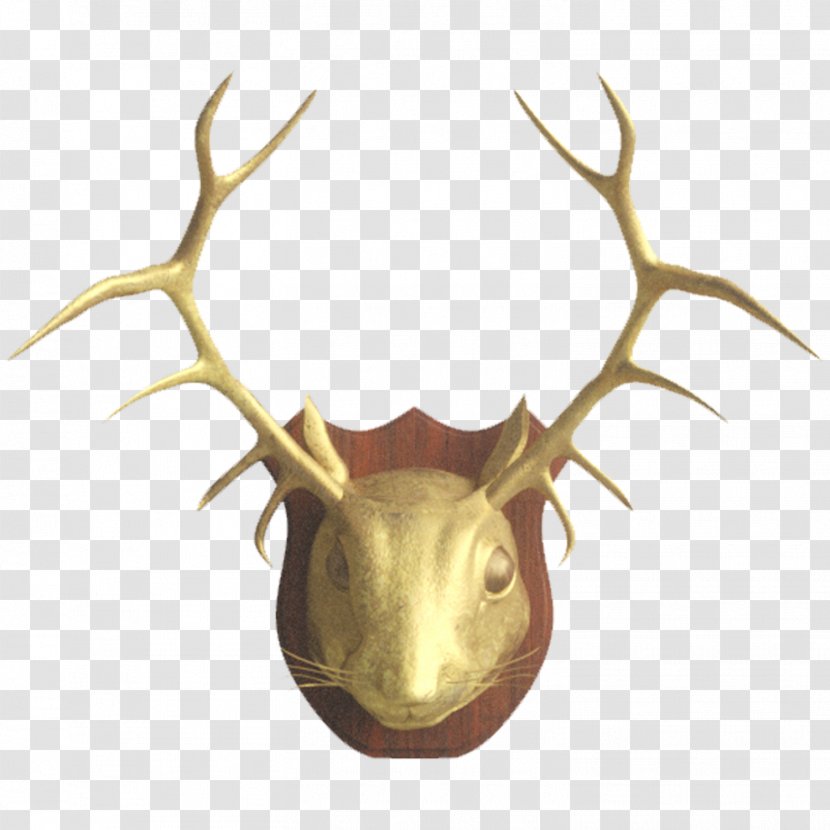 Outlook.com Email Deer Itsourtree.com Antler - Logo - Realistic Different Nuts Transparent PNG