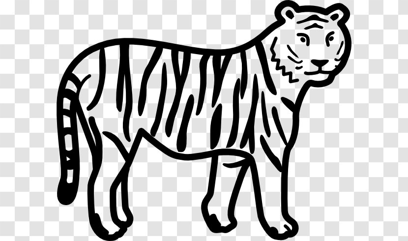 Bengal Tiger Black And White Clip Art - Facebook - Free Cartoon Drawings Transparent PNG