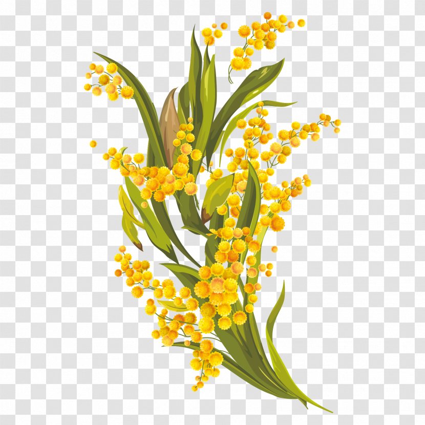 Floral Design Common Daisy Euclidean Vector - Yellow - Elements Transparent PNG