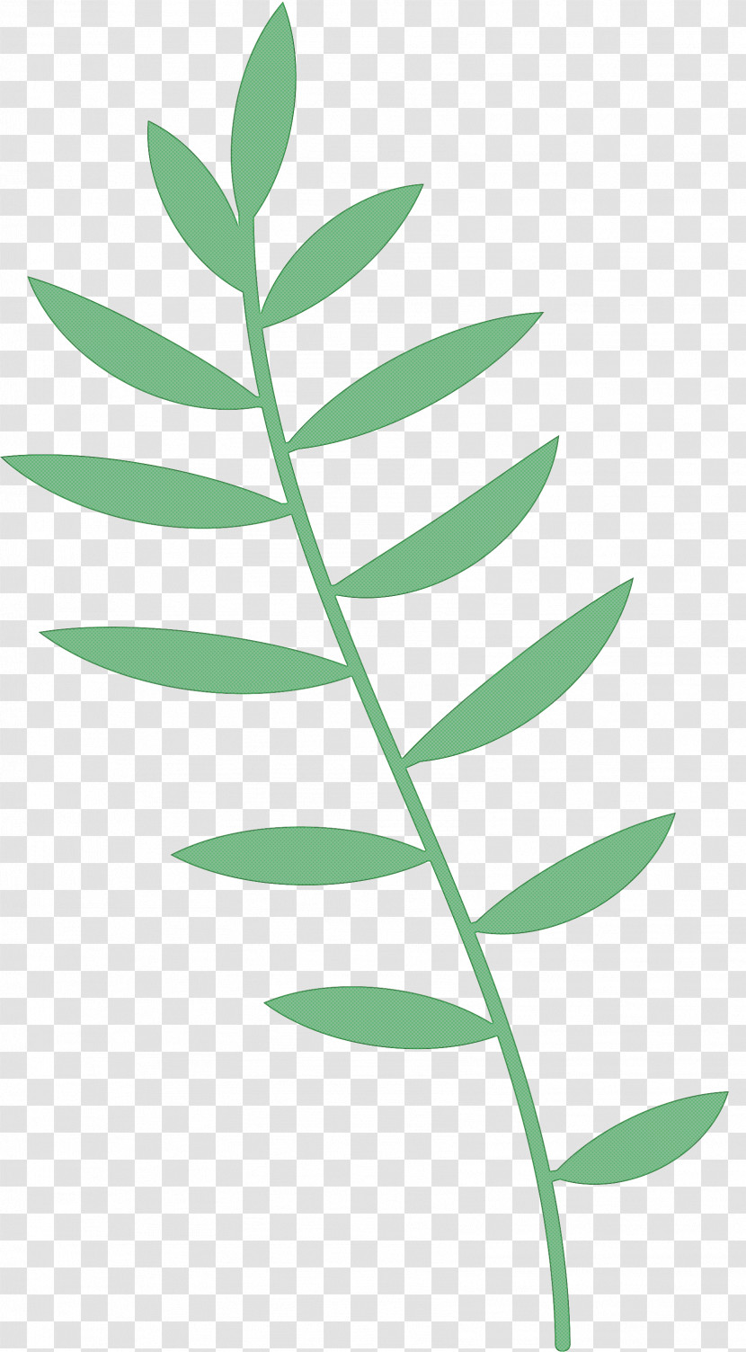 Plant Stem Leaf Tree Herbaceous Plant Petal Transparent PNG