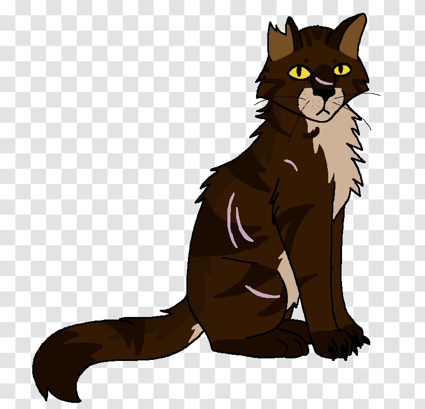 Whiskers Kitten Black Cat Wildcat - Carnivoran Transparent PNG