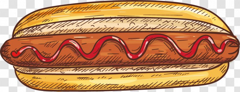 Hot Dog Fast Food Bxe1nh Mxec Bread - Bun - Vector Transparent PNG