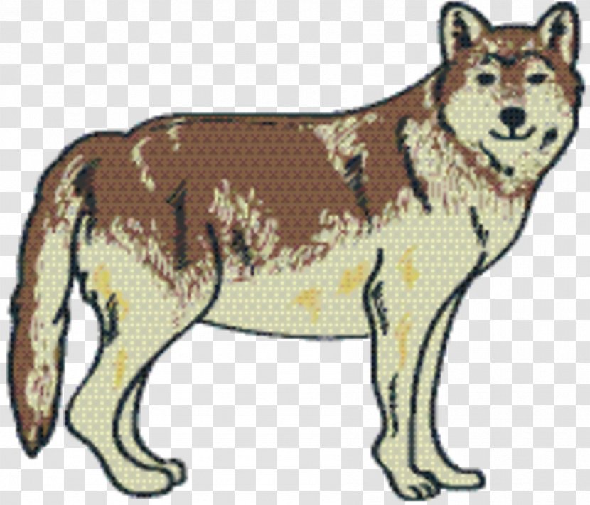 Dog And Cat - Wildlife - Wolf Canadian Eskimo Transparent PNG