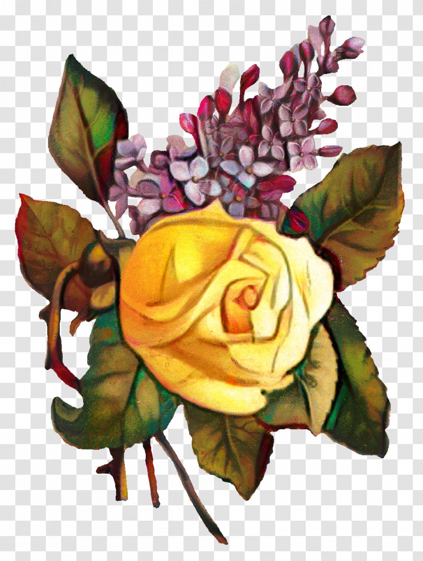 Flower Art Watercolor - Plant - Paint Floribunda Transparent PNG