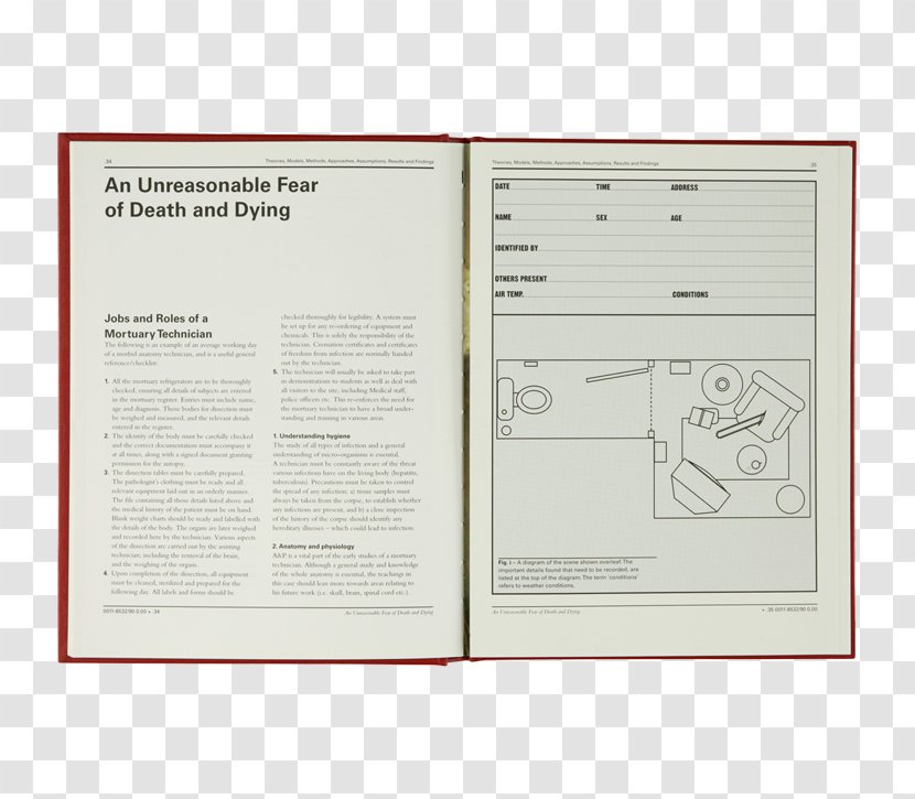 Document Brand - Design Transparent PNG