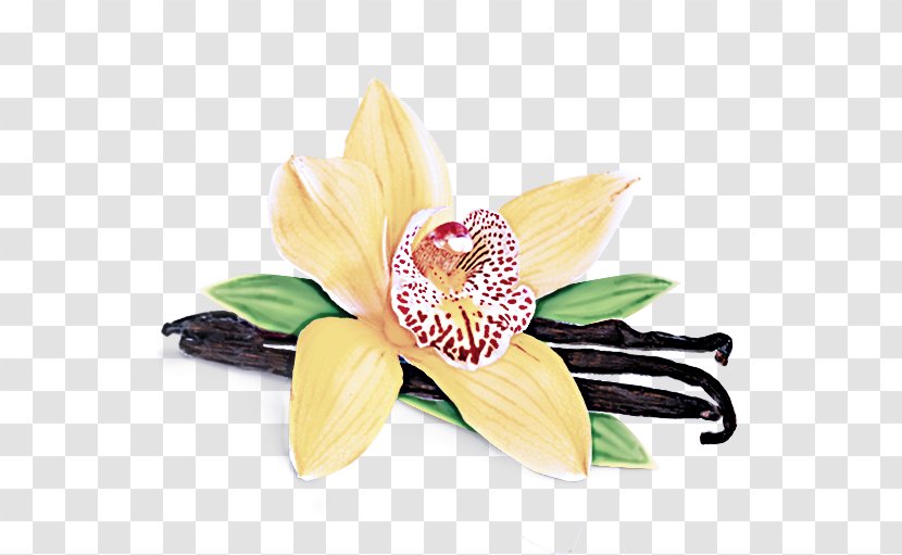 Artificial Flower - Cut Flowers - Jewellery Fashion Accessory Transparent PNG