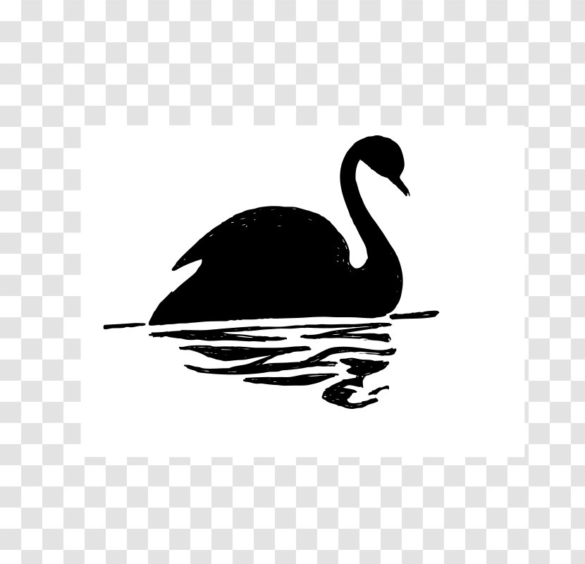 Black Swan Drawing Clip Art - Water Bird - Cliparts Transparent PNG