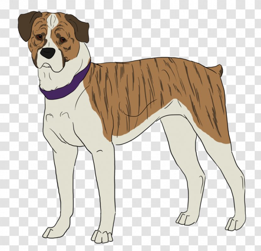 Dog Breed Non-sporting Group Companion (dog) Transparent PNG