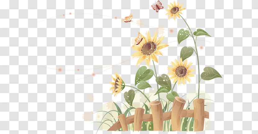 Common Sunflower Petal Clip Art - Plant - Flower Transparent PNG