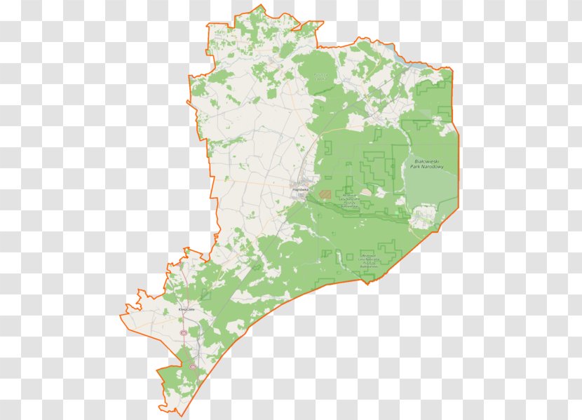 Białowieża National Park Zaleszany, Hajnówka County Rezerwat Pokazowy Żubrów Przyrody Lasy Naturalne Puszczy Białowieskiej Map Transparent PNG