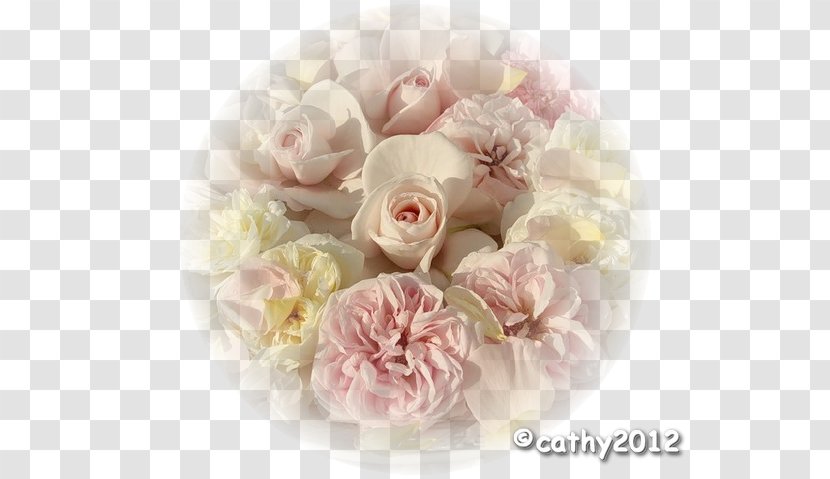 Garden Roses Cabbage Rose Cut Flowers Flower Bouquet Peony - Floral Design - Tubes Transparent PNG