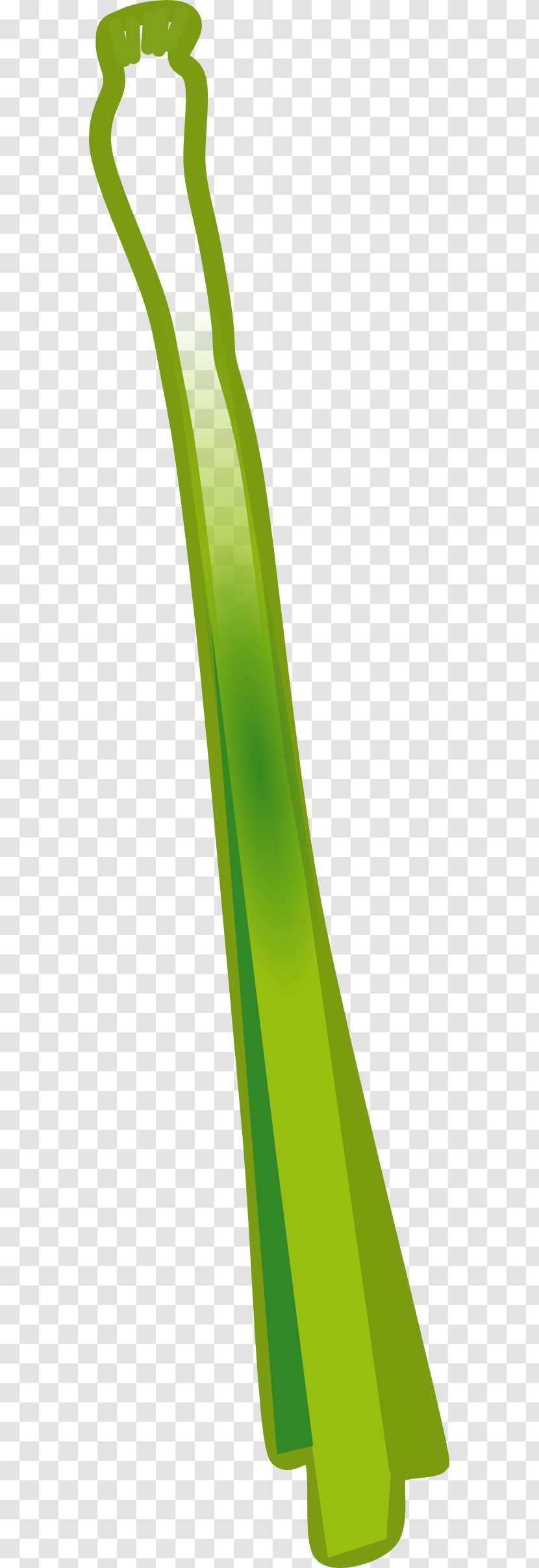 Leek Clip Art - Celery - Onion Transparent PNG