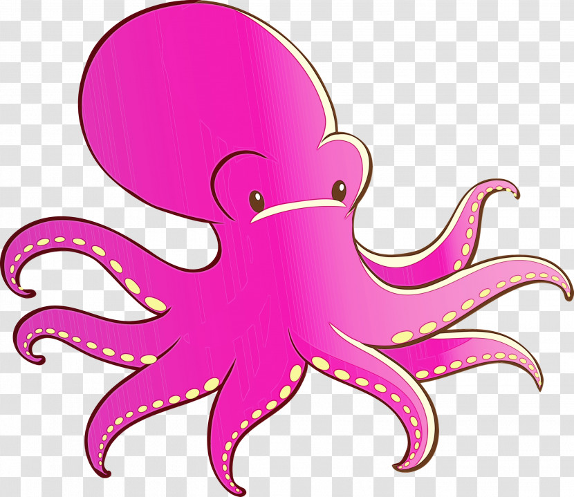 Octopus Giant Pacific Octopus Pink Octopus Magenta Transparent PNG
