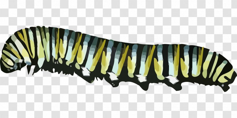 Butterfly Caterpillar Clip Art - Insect Transparent PNG