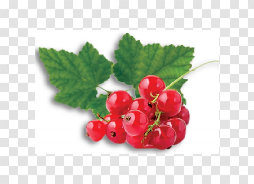 Lekvar Redcurrant Fruit Berry Gelatin Dessert - Plant - Cranberry Transparent PNG