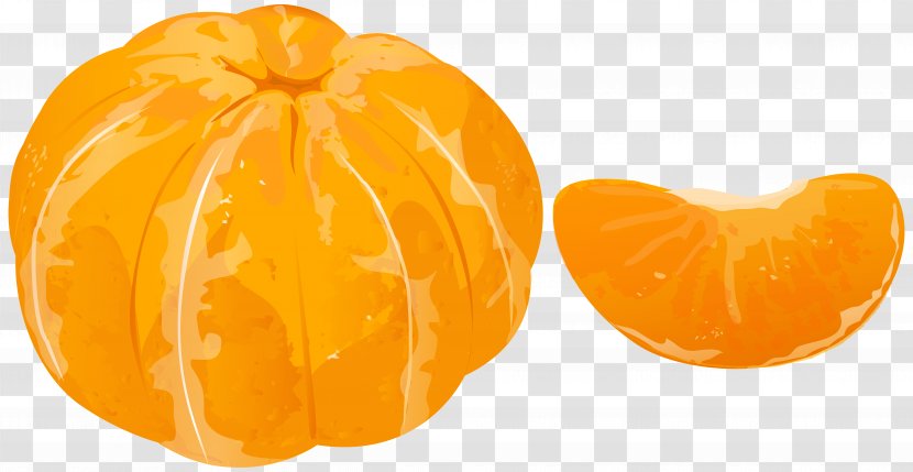 Tangerine Mandarin Orange Clip Art - Acorn Squash Transparent PNG