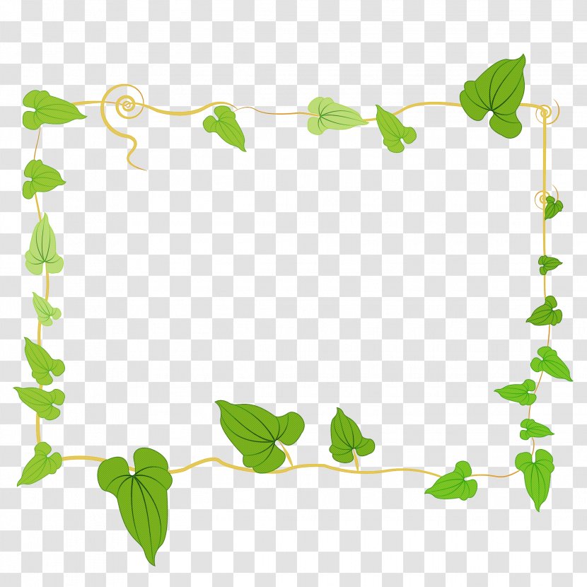 Drawing Of Family - Ivy - Flower Transparent PNG