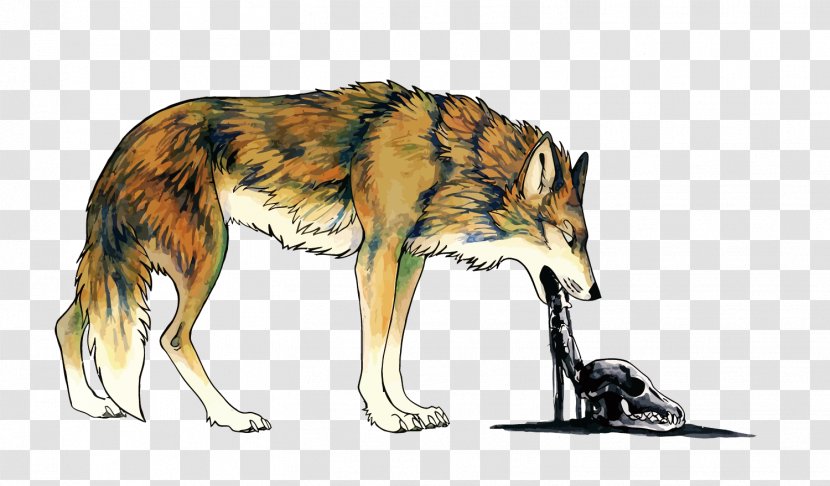 Coyote Dog Vomiting Illustration - Gray Wolf - Vector Vomit Transparent PNG