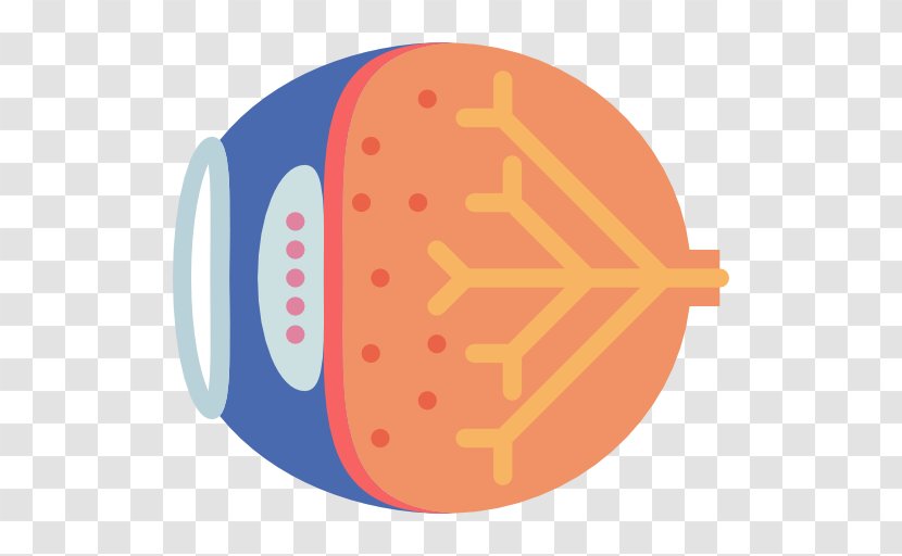 Ophthalmology Medicine Eye Hospital - Flower - Heart Transparent PNG