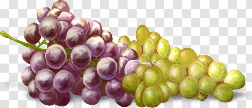 Kyoho Grape Fruit - Superfood - Hand-painted Grapes Transparent PNG