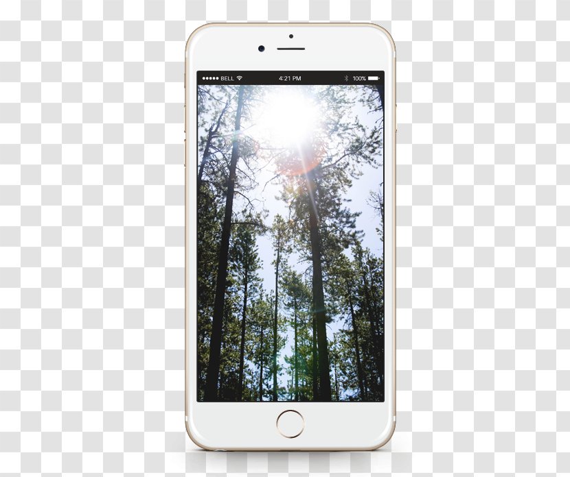 Smartphone Poster IPhone Campsite Feature Phone - Watercolor - Weberstephen Products Transparent PNG
