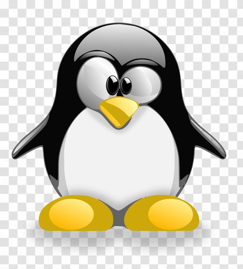 Tux Racer Penguin Linux Distribution - Bird Transparent PNG