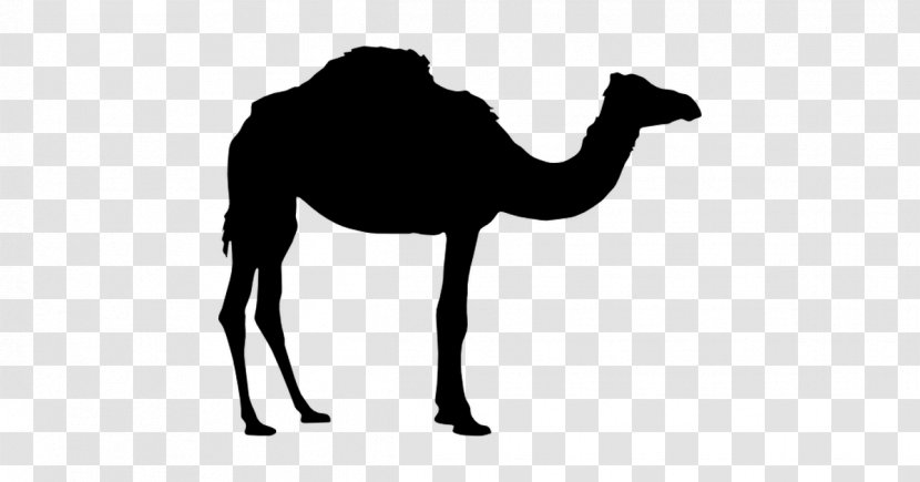Dromedary Bactrian Camel Silhouette Clip Art - Horse Transparent PNG