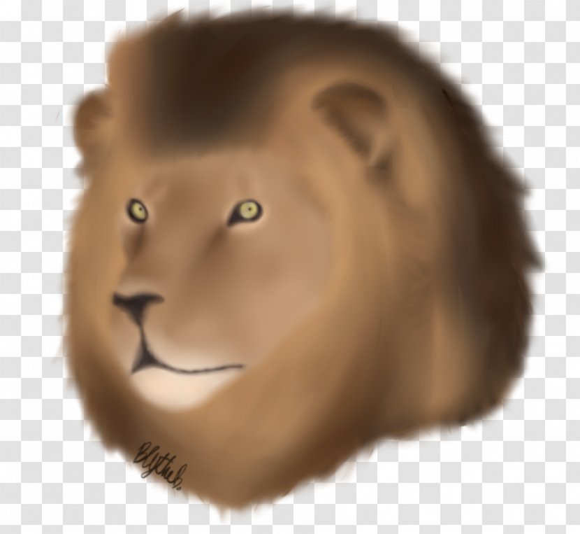 Whiskers Lion Snout Cat Cheek Transparent PNG