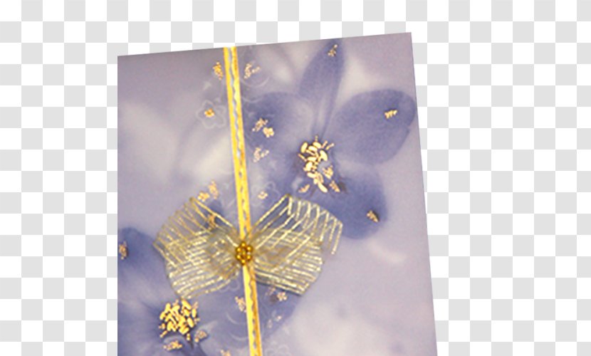 Sky Plc - Petal - Bordo Flowers Transparent PNG