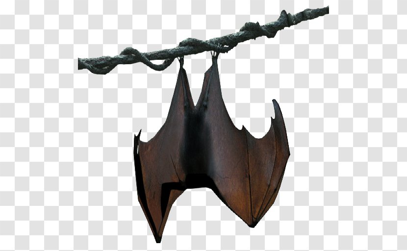 Franquet's Epauletted Fruit Bat Buettikofer's Megabat - Big Brown Transparent PNG