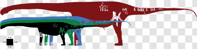 Argentinosaurus Andesaurus Megaraptor Giganotosaurus Limaysaurus - Frame - Barosaurus Transparent PNG