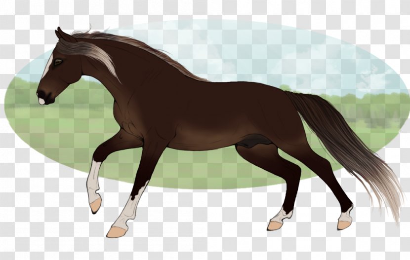 Foal Mane Horse Stallion Pony - Harness Transparent PNG