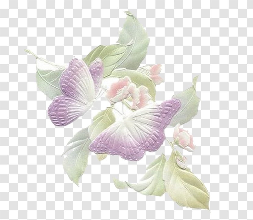Flower Butterflies And Moths Art - Rose - Butterfly Transparent PNG